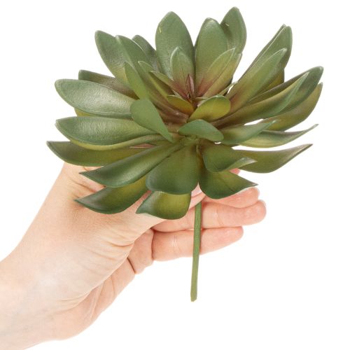 Artikel Künstliche Sukkulente grün 18cm 3er-Set aus Kunststoff für Innenräume