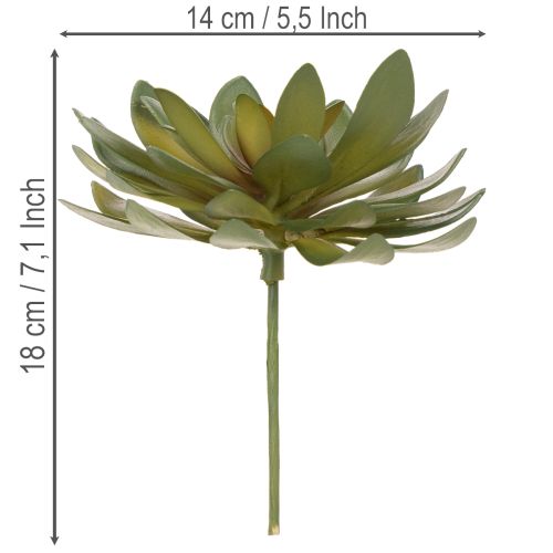Artikel Künstliche Sukkulente grün 18cm 3er-Set aus Kunststoff für Innenräume