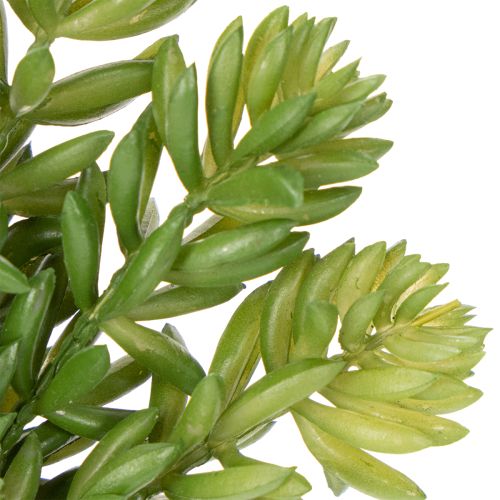 Artikel Sukkulenten-Set Kunstpflanzen 15cm, 5 Stück – Pflegeleicht und Dekorativ