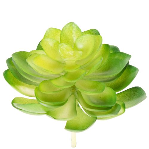 Artikel Künstliche Sukkulente Grün, 10 cm Höhe, Set aus 4 Stück, Dekoration für Schale oder Vase