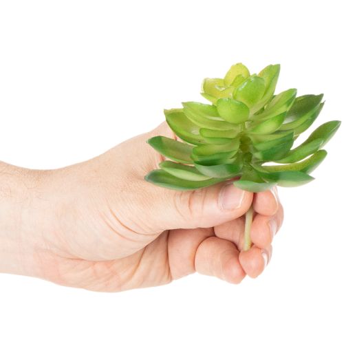 Artikel Künstliche Sukkulente Grün, 10 cm Höhe, Set aus 4 Stück, Dekoration für Schale oder Vase