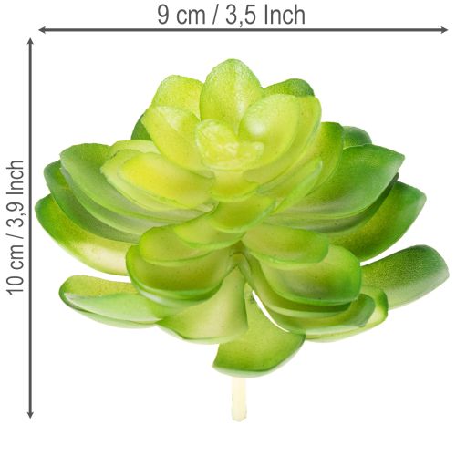 Artikel Künstliche Sukkulente Grün, 10 cm Höhe, Set aus 4 Stück, Dekoration für Schale oder Vase