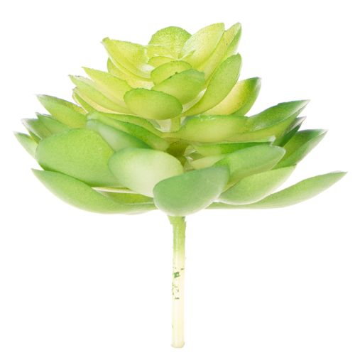 Künstliche Sukkulente Grün, 10 cm Höhe, Set aus 4 Stück, Dekoration für Schale oder Vase | Floristik21.de