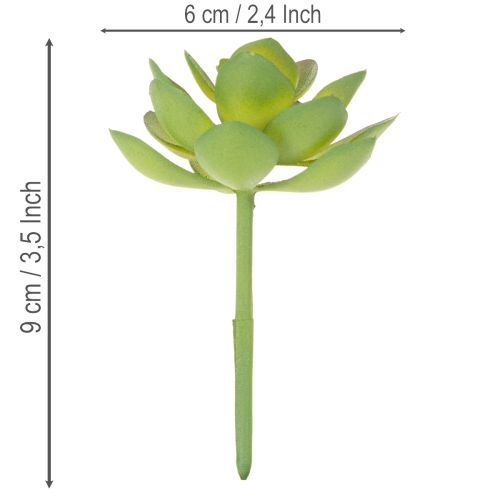 Kunstpflanze Sukkulente Grün, Kunststoff, Höhe 9 cm, Innenraumdekoration | Floristik21.de