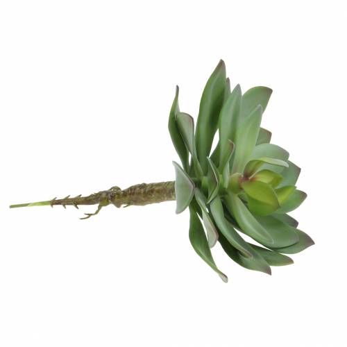 Artikel Sukkulente künstlich Grün 27cm
