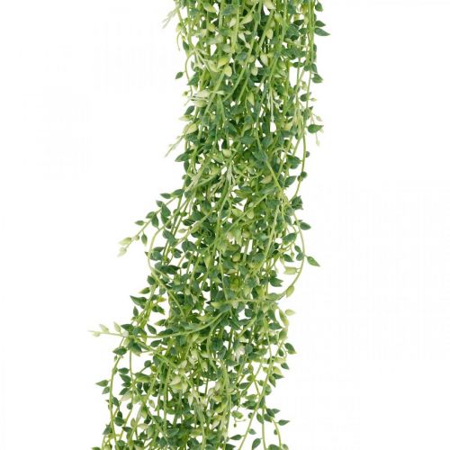Artikel Sukkulente hängend künstlich Hängepflanze Grün 96cm
