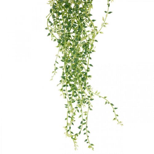 Artikel Sukkulente hängend künstlich Hängepflanze Grün 96cm
