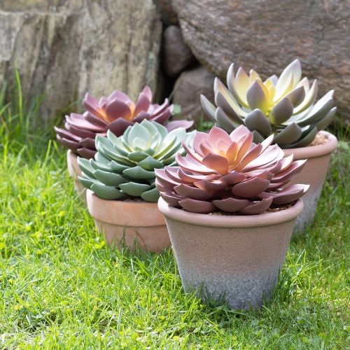 Sukkulente im Topf Echeveria künstlich Rot Vintage Ø15cm H16cm