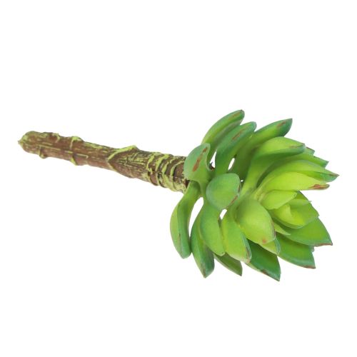 Artikel Sukkulente Echeveria Künstliche Grünpflanze Grün Ø5,5cm 12,5cm