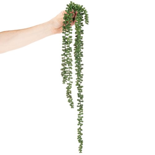 Kunstpflanze Girlande Sukkulente 80 cm Grün Kunststoff Innenbereich | Floristik21.de