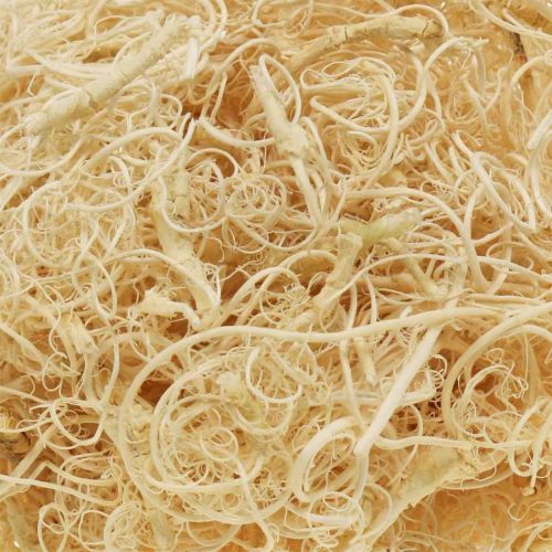 Artikel Tamarind Fibre 500g gebleicht