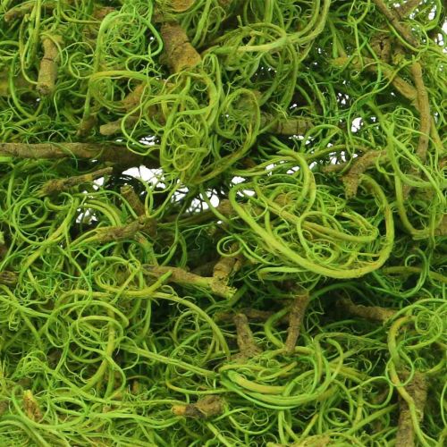 Tamarind Fibre Hellgrün Naturfaser zum Basteln und Dekorieren 500g