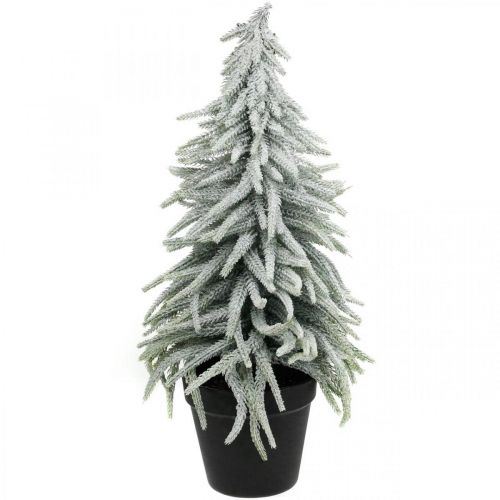 Floristik21 Winter-Tanne im Topf, Weihnachtsdeko, Tannenbaum mit Schnee H45cm