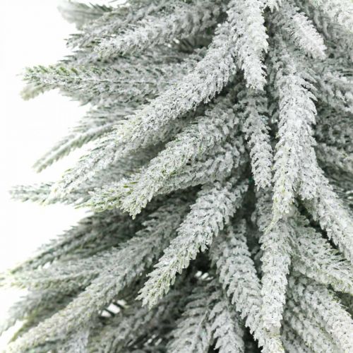 Floristik21 Winter-Tanne im Topf, Weihnachtsdeko, Tannenbaum mit Schnee H45cm