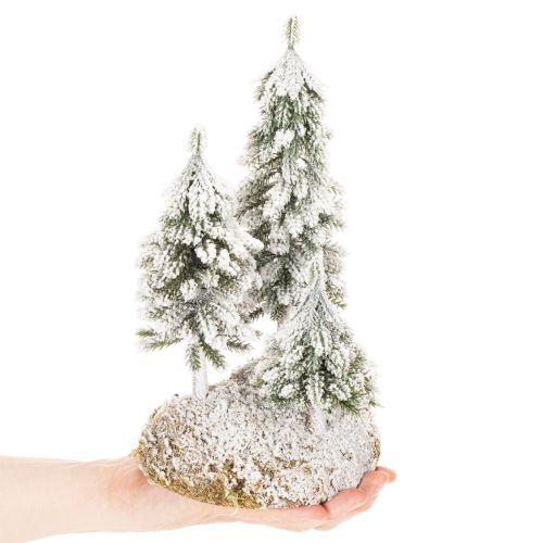 Schneetannen aus Kunststoff auf Styroporunterlage mit Moos 29 cm für Weihnachts- und Tischdekoration | Floristik21.de