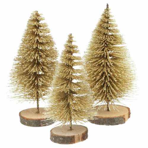 Floristik21 Mini Tannenbäume Tischdeko Gold Weihnachtsdeko H7cm 6St