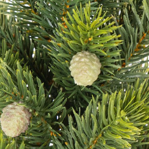 Tisch-Weihnachtsbaum künstlich 38 cm mit Jutesack für Innenbereich | Floristik21.de