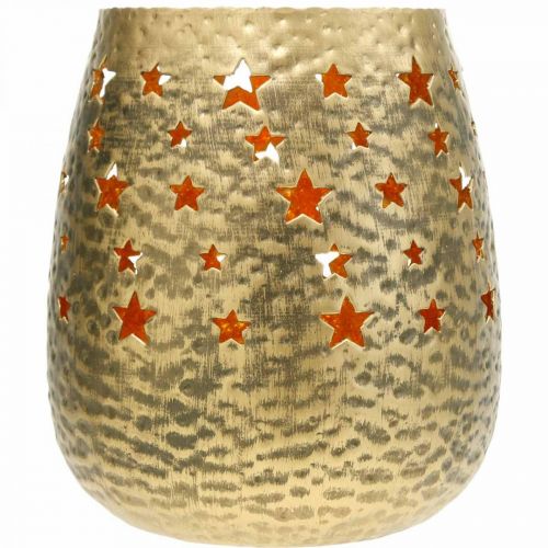Floristik21 Weihnachtsdeko Teelichthalter Metall mit Sternen Golden Ø18cm H20cm