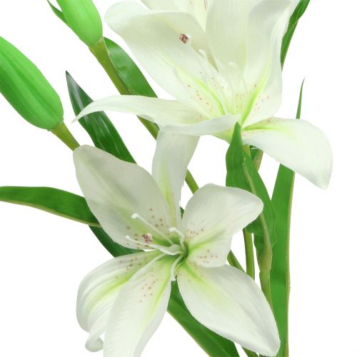 Lilie Weiß 58cm