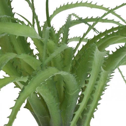 Floristik21 Aloe künstlich Grün Kunstpflanze zum Stecken Grünpflanze 38Øcm