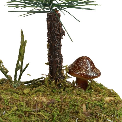 Floristik21 Tischdeko Mini Tannenbäume künstlich Tannenwald Sockel 30cm