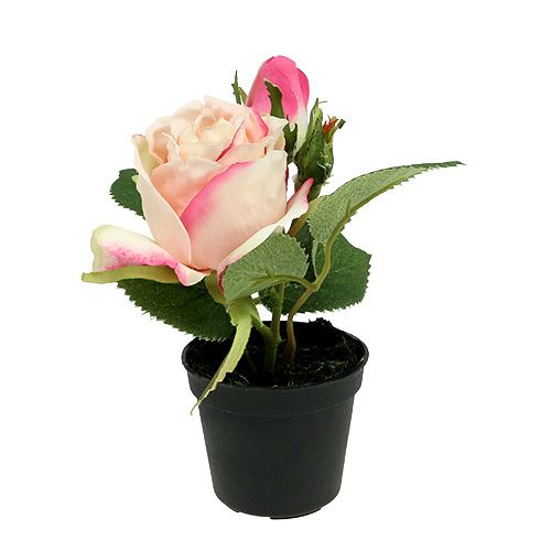 Tischdeko Rose im Topf Creme 14cm