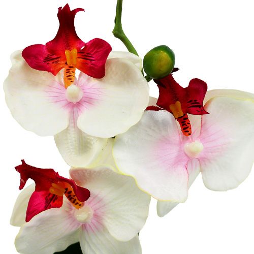 Tischdekoration Orchidee im Topf Creme H29cm