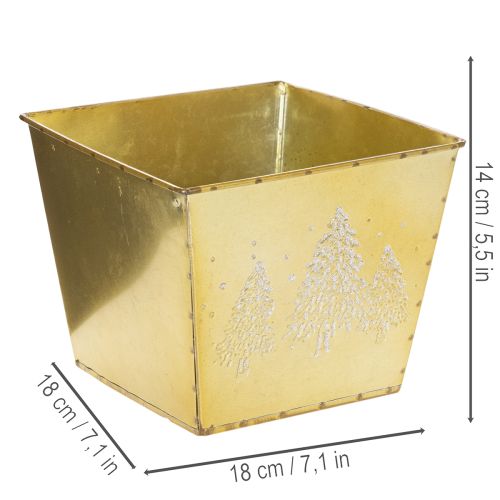 Pflanzgefäß Metall 18cm quadratisch gold mit glitzerndem Tannenmotiv | Floristik21.de