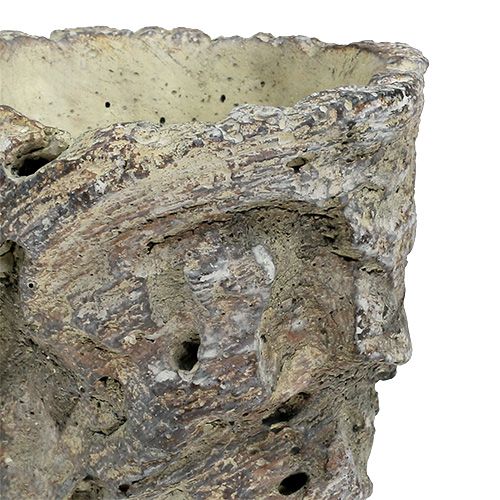 Topf als Baumstamm Ø10,5cm H12cm 2St | Floristik21.de