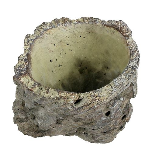 Topf als Baumstamm Ø10,5cm H12cm 2St | Floristik21.de