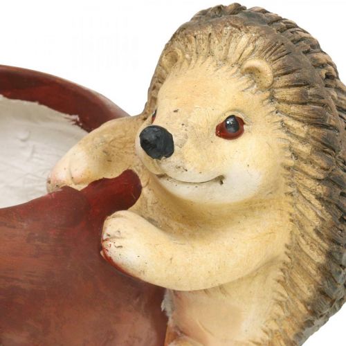 Pflanzgefäß, Apfel mit Igel, Herbstdeko, Übertopf, Keramik Ø16cm H22cm B33cm