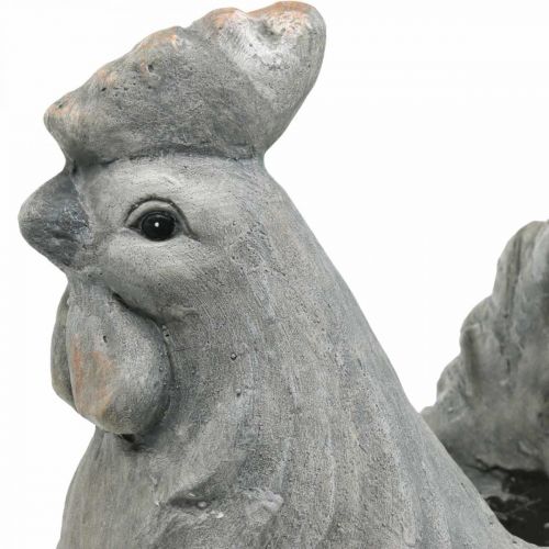 Floristik21 Huhn zum Bepflanzen, Osterdeko, Pflanztopf, Frühling, Dekohuhn Betonoptik H30cm