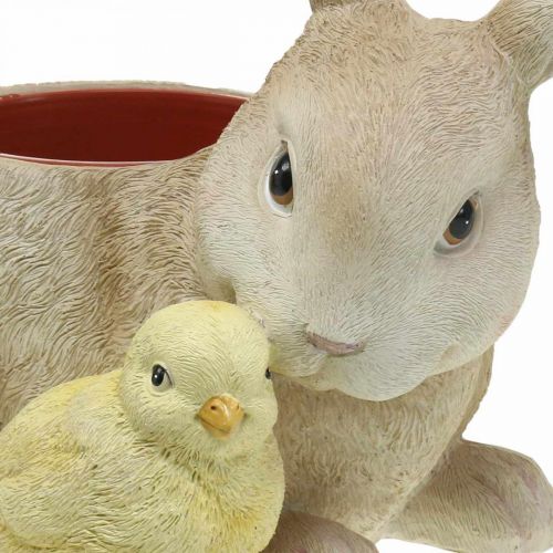 Floristik21 Osterdeko zum Bepflanzen, Hase und Küken, Frühling, Pflanztopf H24cm L30cm