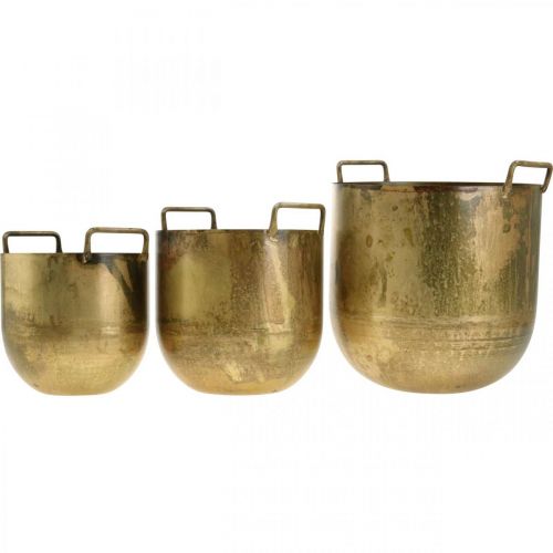 Floristik21 Pflanzkübel Antik Look Blumentopf mit Griffen Metall H17/19,5/26cm 3er-Set