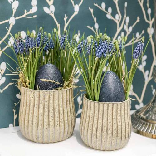 Artikel Traubenhyazinthen 28cm - 30cm Blau 15 St