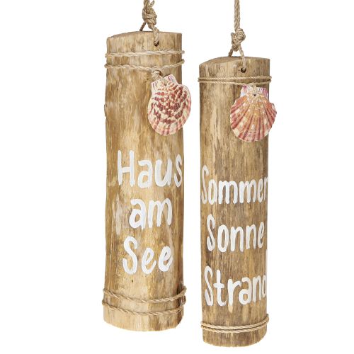 Treibholz Deko mit Muschel Wanddeko Holz H29cm 2St