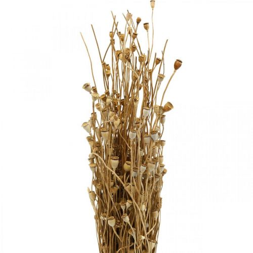 Artikel Trockenblumen Mohn-Kapseln Natur getrocknet wild Trockendeko Bund 100g