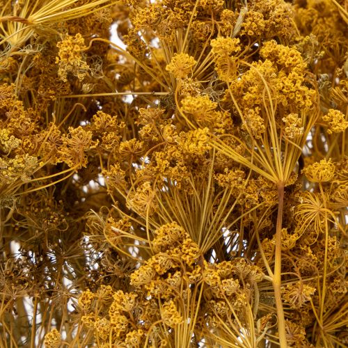 Artikel Trockenblumenstrauß 55 cm Naturtöne für vielseitige Dekoration