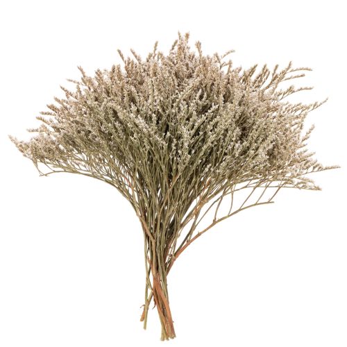 Trockenblume Bund Strandflieder Statice Natur 1kg