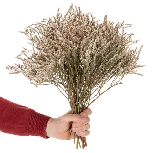 Trockenblume Bund Strandflieder Statice Natur 1kg | Floristik21.de