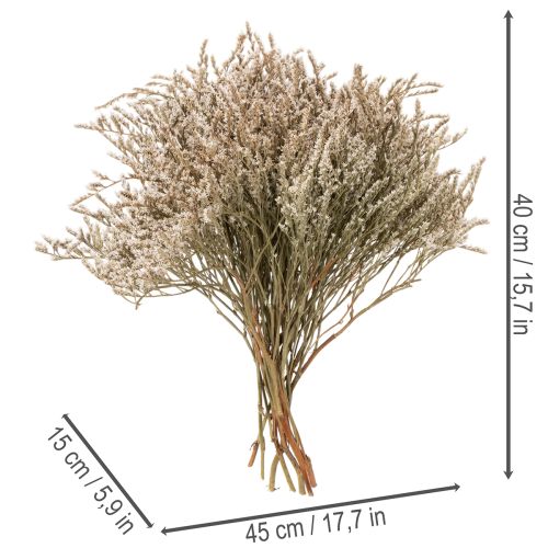 Trockenblume Bund Strandflieder Statice Natur 1kg | Floristik21.de