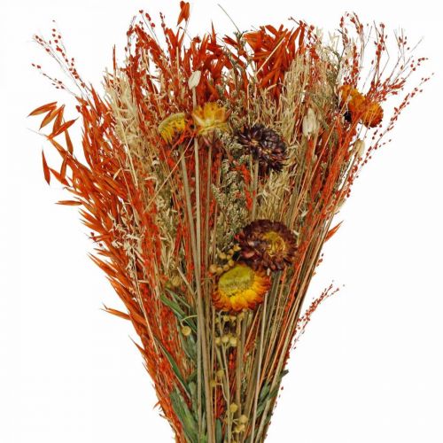 Floristik21 Trockenblumen Bouquet Orange-Mix 42cm