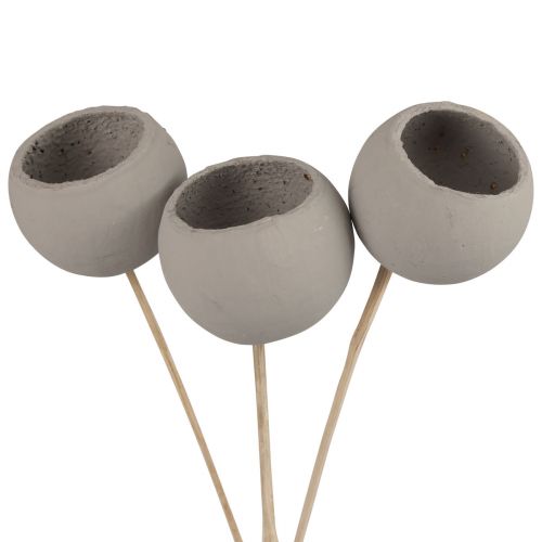 Artikel Trockenblumen Deko Bell Cups am Stiel Grau 37cm 3 St
