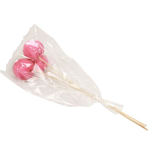 Artikel Trockenblumen Deko Bell Cups am Stiel Pink 42cm 3 St