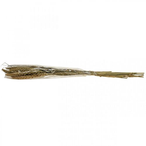 Floristik21 Trockenblumen Hirse Getreide Deko Trockenfloristik 65cm 100g
