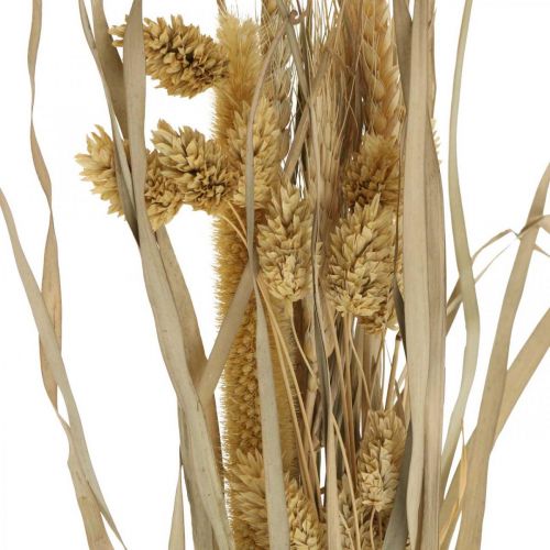 Floristik21 Trockengräser und Getreide Natur im Bund Trockenstrauß 48cm