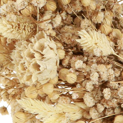 Artikel Trockenblumenkranz Creme Naturdeko Wandkranz Tischdeko 25cm