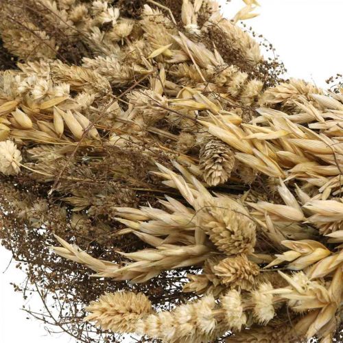Dekokranz Trockenblumen groß Getreide und Gräser Natur Ø50cm