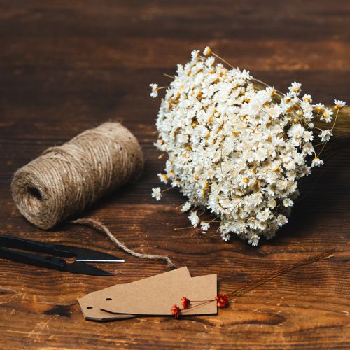 Artikel Trockenblumenstrauß 44cm Weiß Glixia-Gräser für langlebige Wohn- und Tischdeko