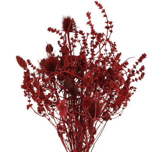 Floristik21 Trockenblumenstrauß Distel in Weinrot 40cm – Elegante, langlebige Deko für Events & Räumlichkeiten